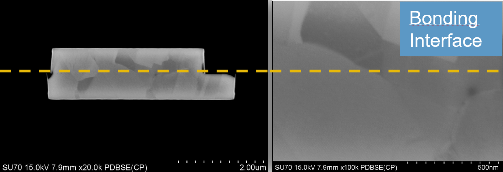 TEM cross section of hybrid bonded dies using collective D2W bonding (Co-D2W) 